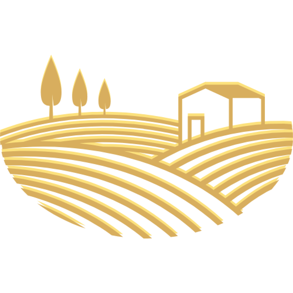vineyard vineyard